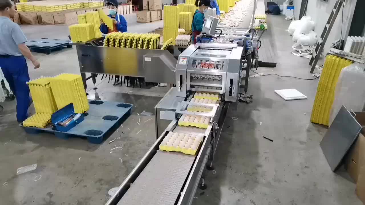 视频
