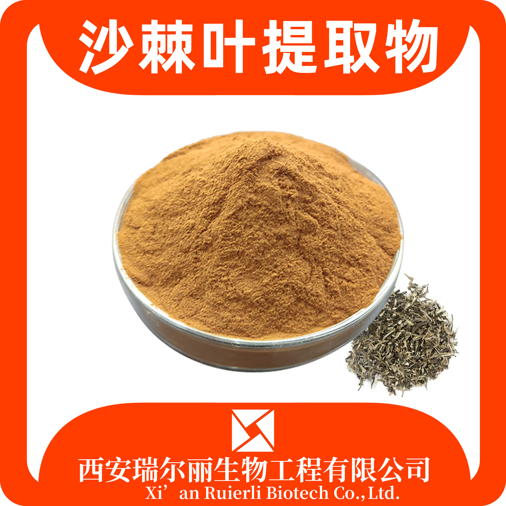 沙棘叶提取物 速溶沙棘叶粉 SC食品原料 水溶浸膏粉 源头工厂