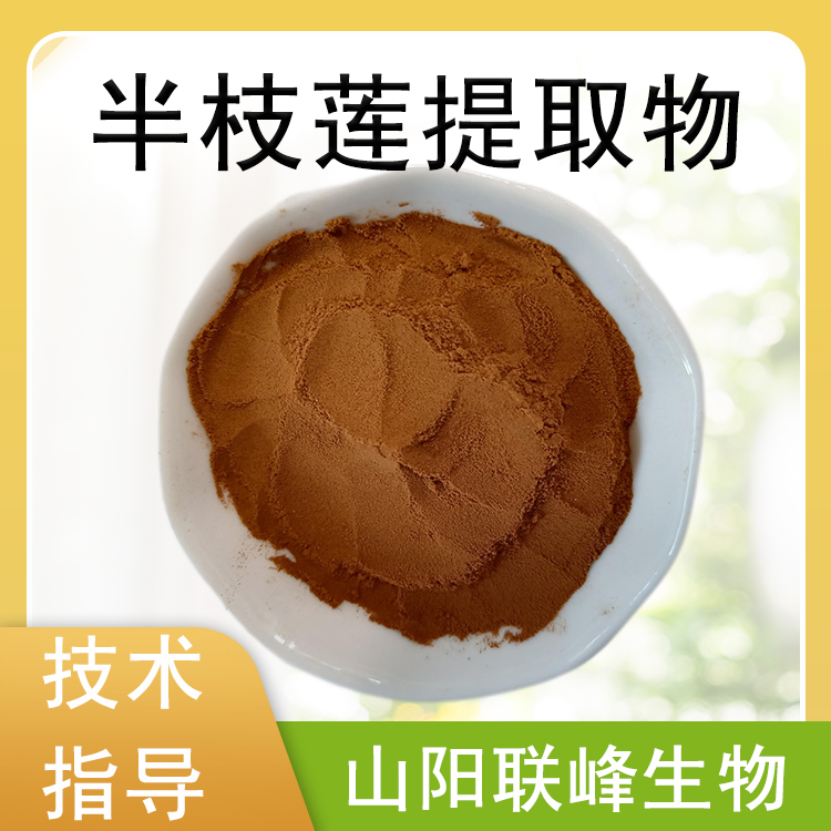 半枝莲提取物 10:1水溶浓缩浸膏粉 半枝莲粉 植物萃取 原料 1公斤起订