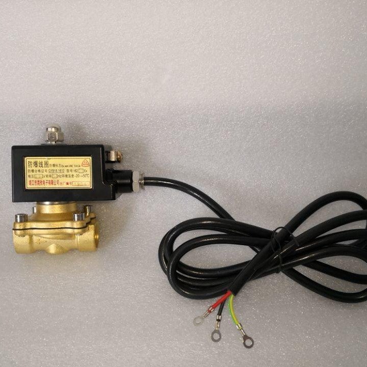 2T煤气防爆电磁阀系列产品 水开关太阳能12v水用自动通断阀门