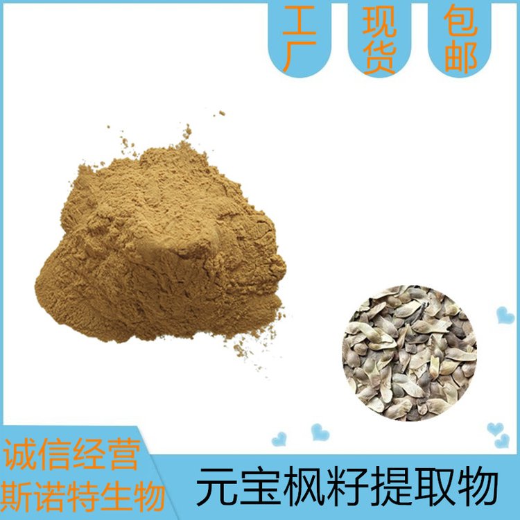 元宝枫籽提取物 油状或粉末 新食品原料 SC厂 斯诺特生物