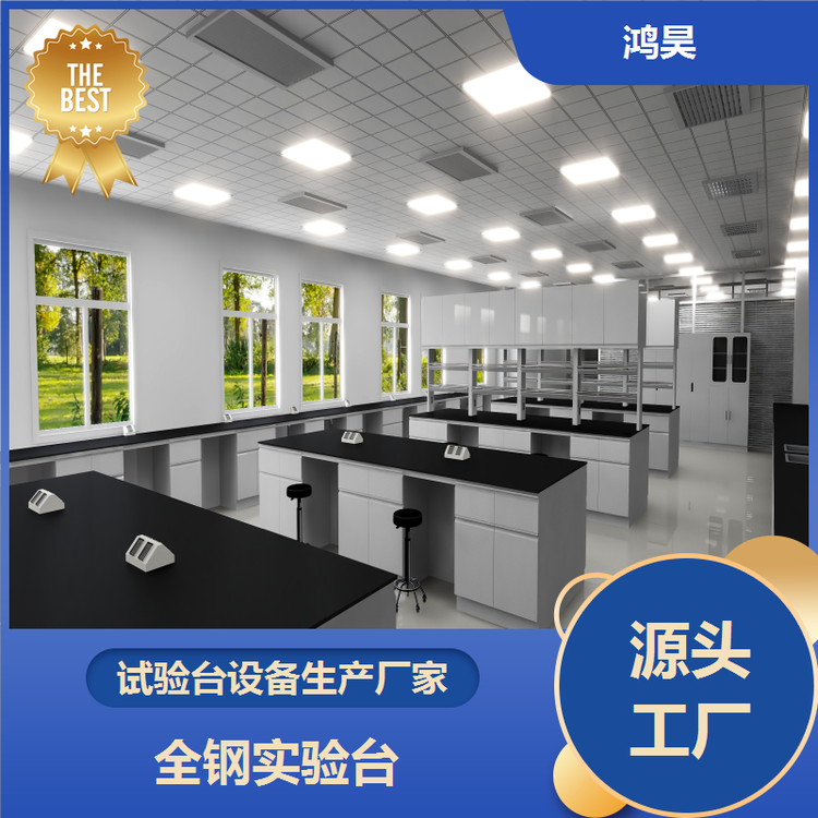 鸿昊 供应化工厂 全钢实验台吊柜 耐腐蚀理化板 规格齐全