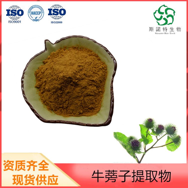 牛蒡子提取物 10:1 牛蒡子粉 含多糖 皂甙 规格支持定制