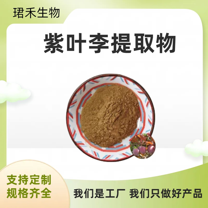 紫叶李提取物 红叶李水溶果粉10:1 喷雾粉 溶解性好 固体饮料原料