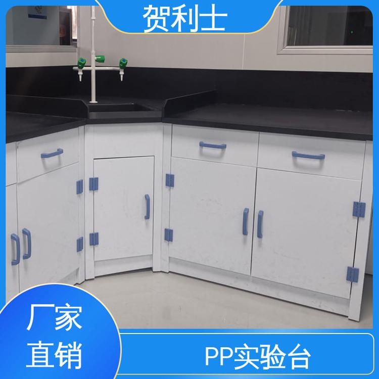 贺利士 按需定制加工 PP实验台柜 食品药品生产研发 pp化验台