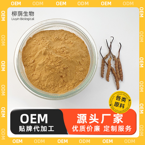 虫草菌粉提取物 植物提取 冬虫夏草 源头工厂 OEM代工生产