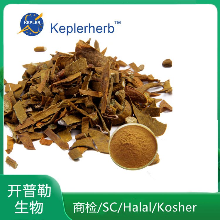 桑寄生提取物 10:1 桑寄生皂甙 桑寄生原料粉萃取 KPL-0053