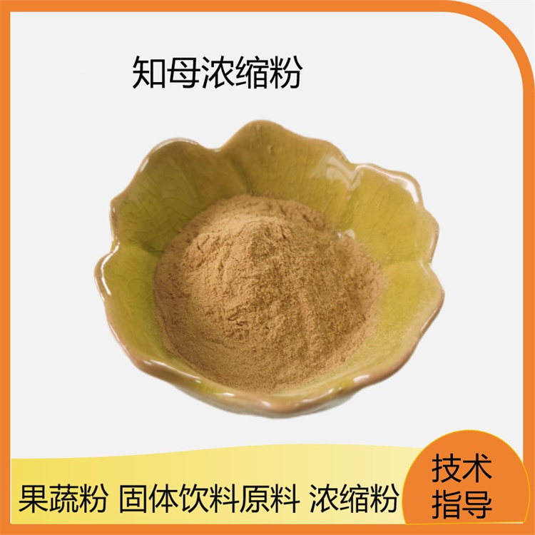 知母提取物 知母浓缩粉 地参水溶喷雾干燥粉 知母浸膏 可定制