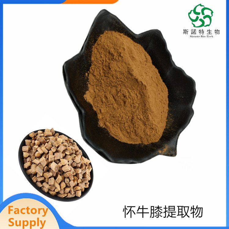 斯诺特 怀牛膝皂甙提取物 精细棕黄粉末 80目 1公斤起