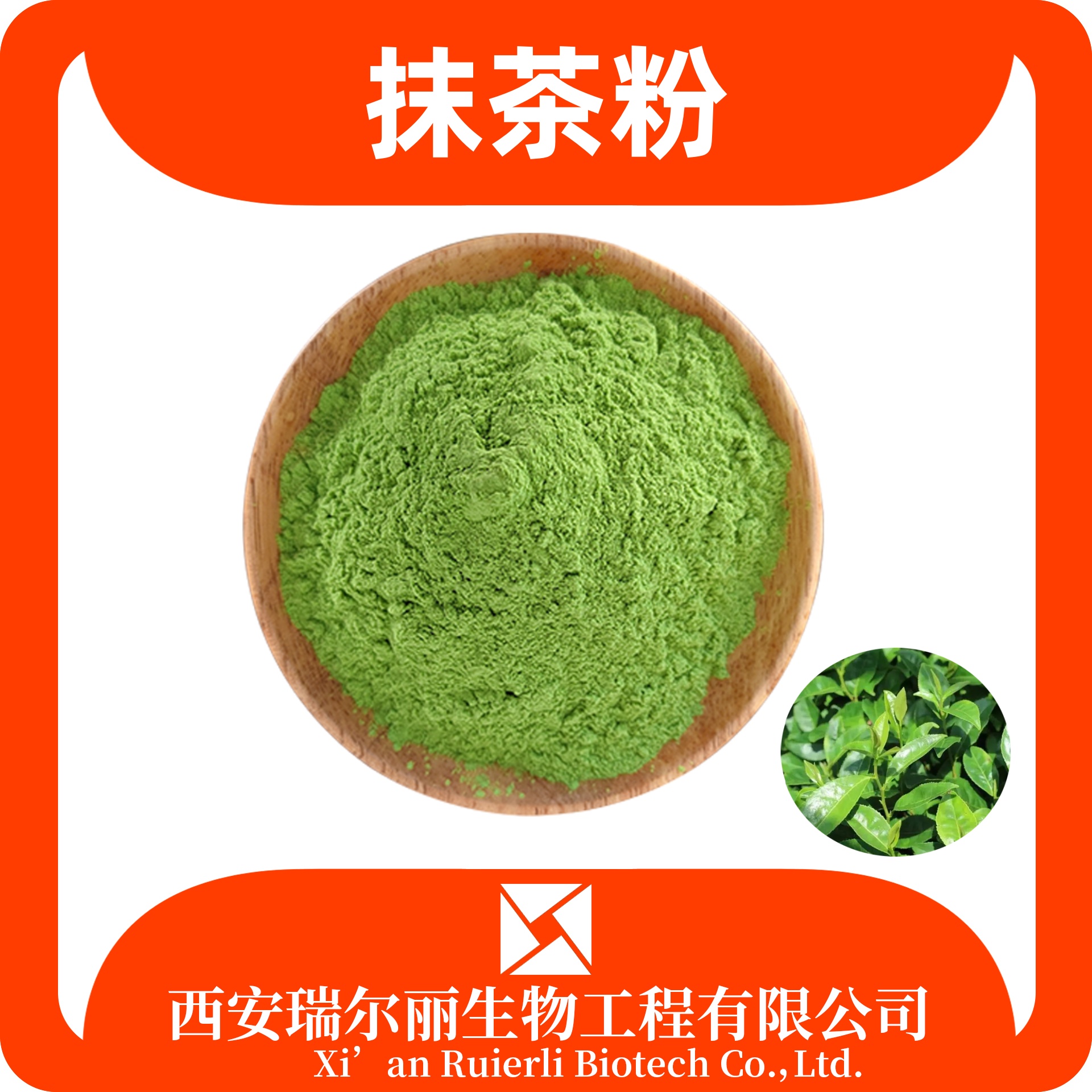 抹茶粉 99% 食品级 抹茶提取物 固体饮料 烘焙可用 瑞尔丽生物 源头厂家