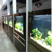 精创水族馆