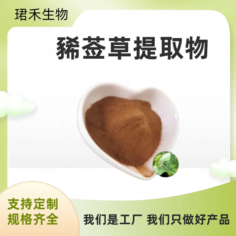 豨莶草提取物 食品级肥猪草粉 水提 可定制生产 喷雾干燥