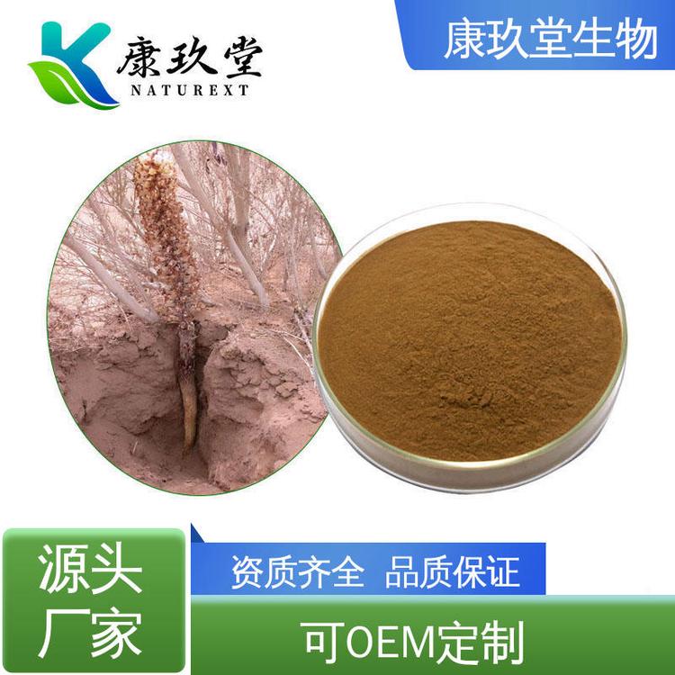 设备先进 25公斤/桶 植物提取物 Cistanche Extract 康玖堂