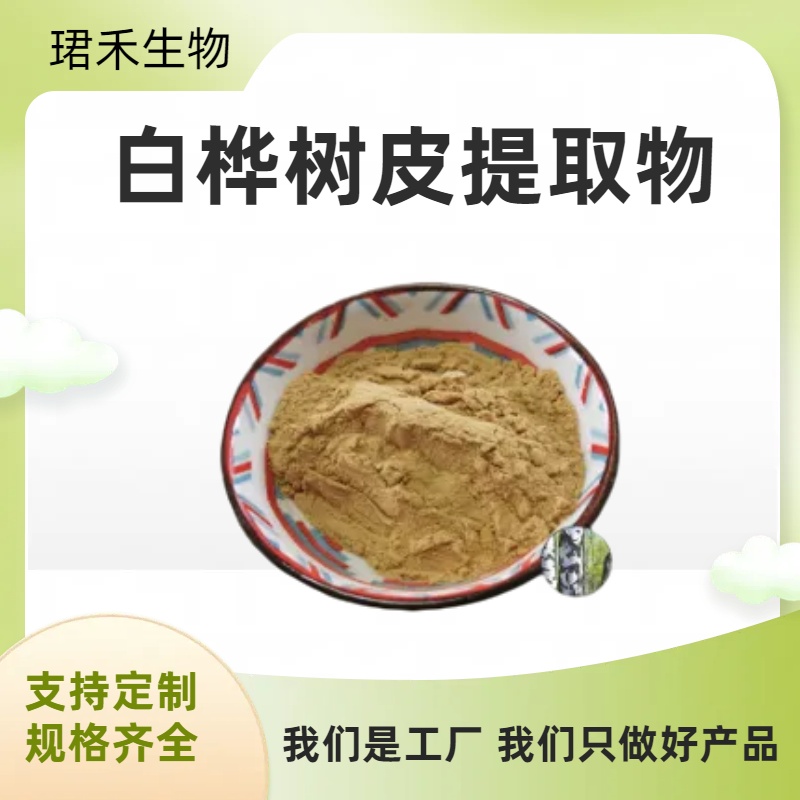 白桦树皮提取物 白桦脂酸 喷雾干燥 可定制规格 品质稳定