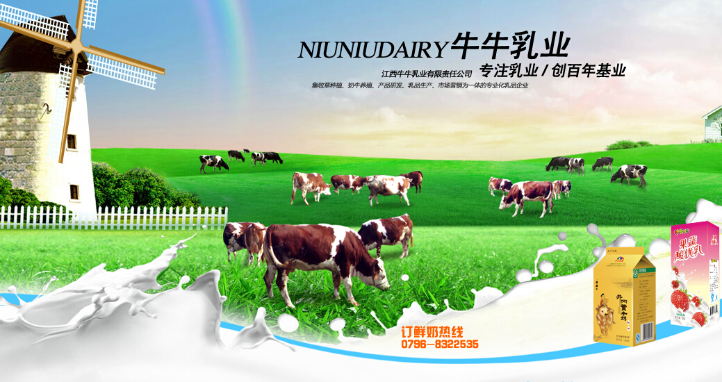 牛牛乳业