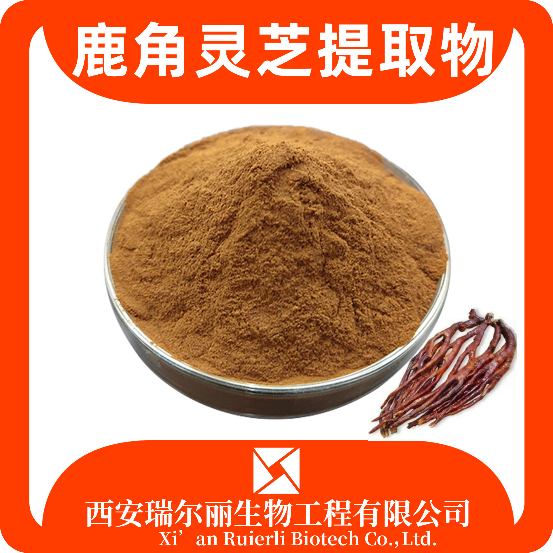 鹿角灵芝提取物10：1 灵芝粉 速溶浸膏 资质齐含运费 瑞尔丽生物