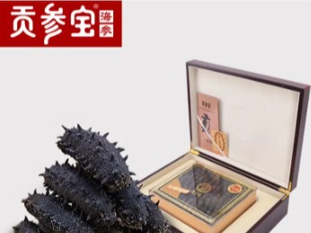 贡参宝海参