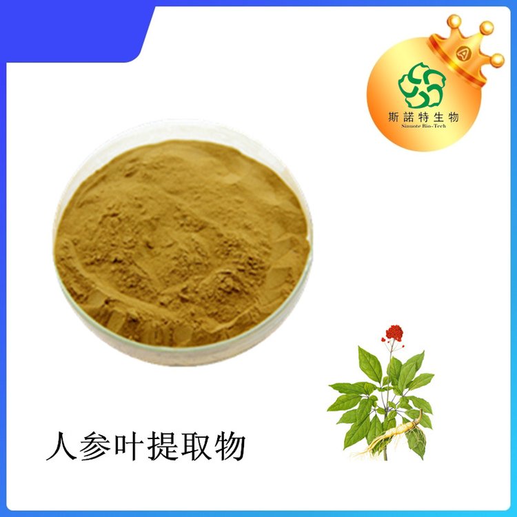 人参叶提取物 斯诺特 皂甙80% 90045-38-8 可商检