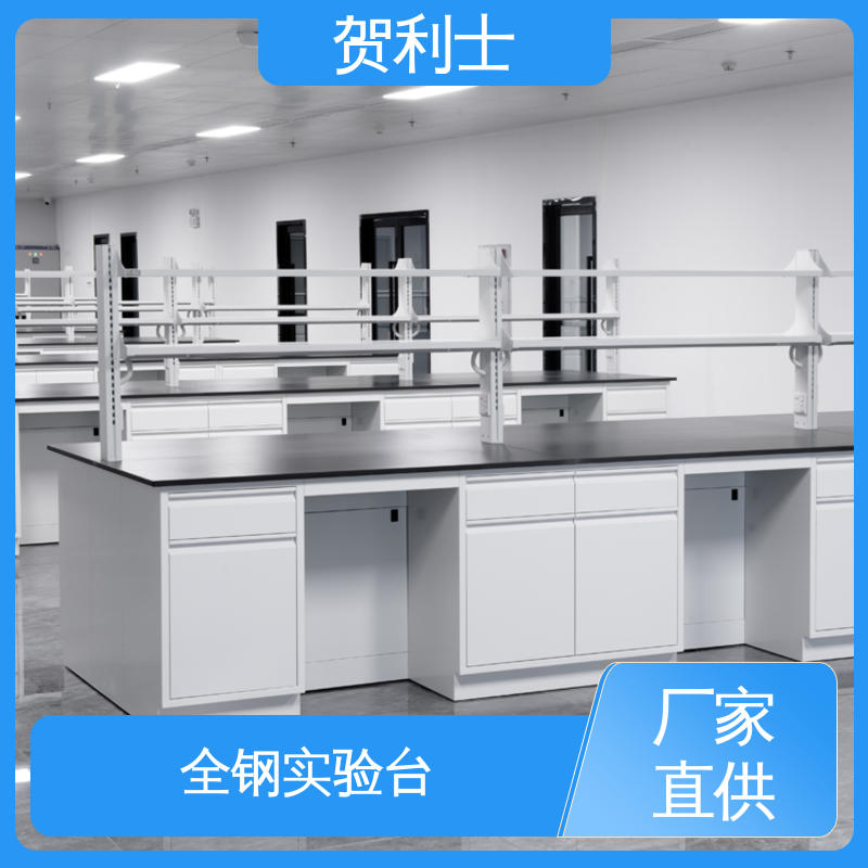 贺利士 耐酸碱 全钢实验台订制 科研院校制药用 承重力强