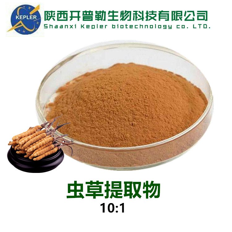 虫草提取物 虫草素 1% 蛹虫草菌丝体提取物 虫草粉定制