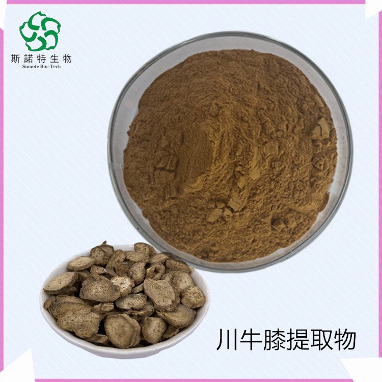 川牛膝提取物 斯诺特 原料粉 SC厂 1公斤起订 包邮