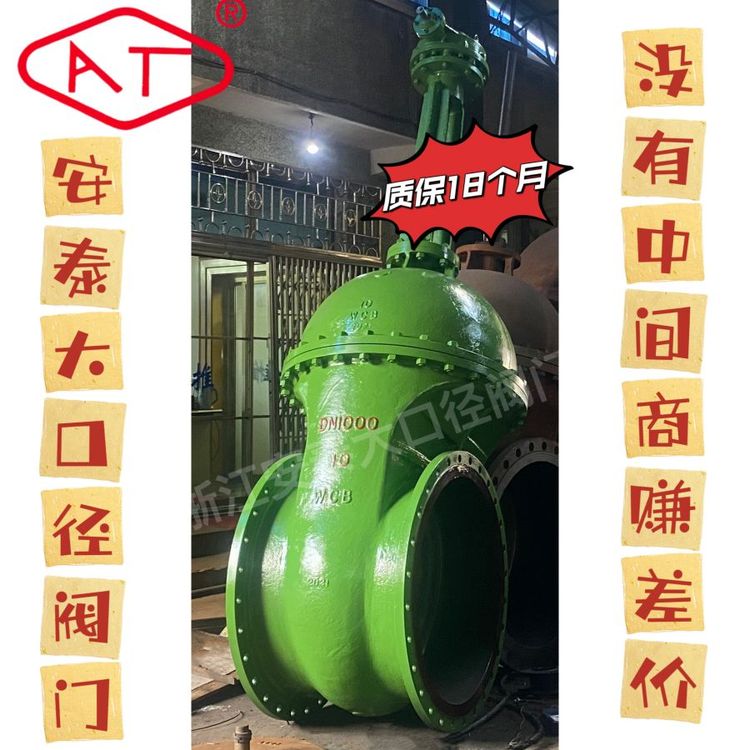 船用 海水 自来水给水 排污 伞齿轮大口径铸钢闸阀 Z541H 10C DN1000 法兰