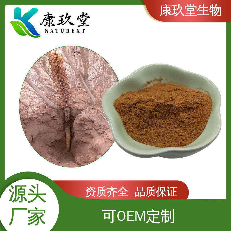 植物提取物 资质齐全 25公斤/桶 Cistanche Extract 康玖堂