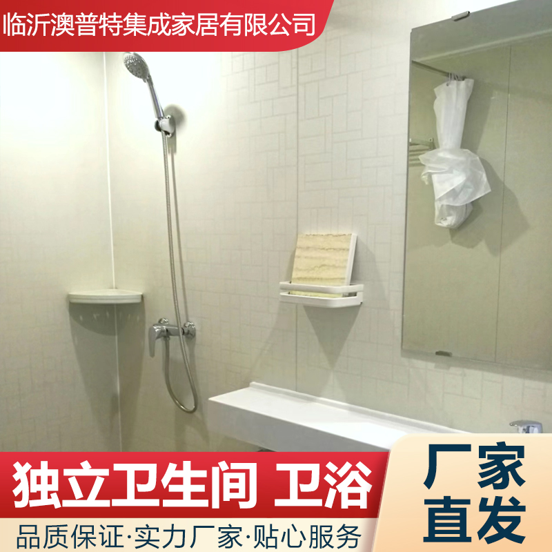 干湿分离整体淋浴房一体式卫生间移动集成卫浴