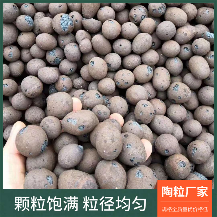 建筑回填陶粒 旋转窑高温焙烧 颗粒饱满 多年行业经验