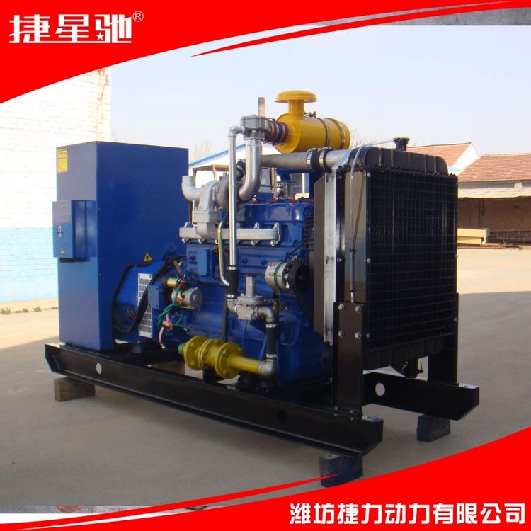 60KW 天然气 沼气 柴油 静音箱 集装箱 方舱电站 发电机组厂家