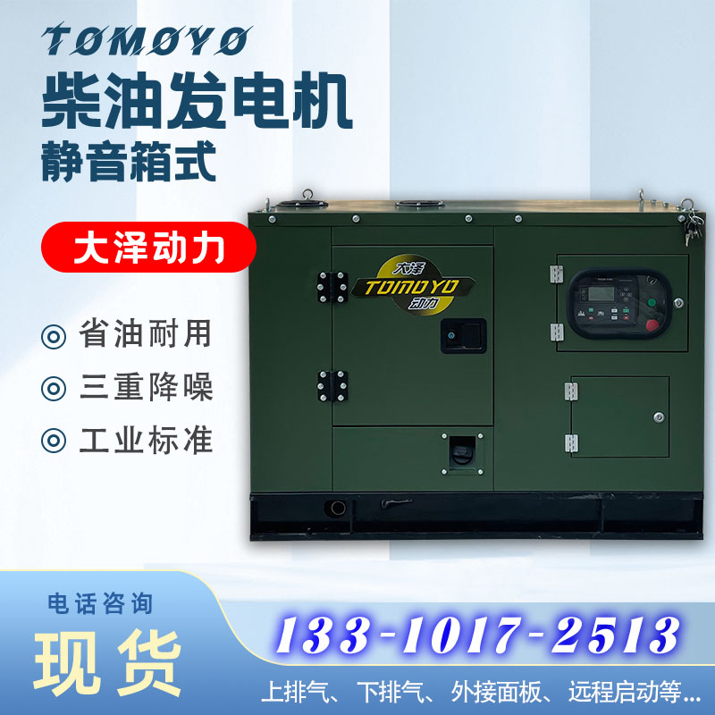 大泽动力20kw-30kw柴油发电机组 箱体式静音 低温冷启动 定制蓄电池