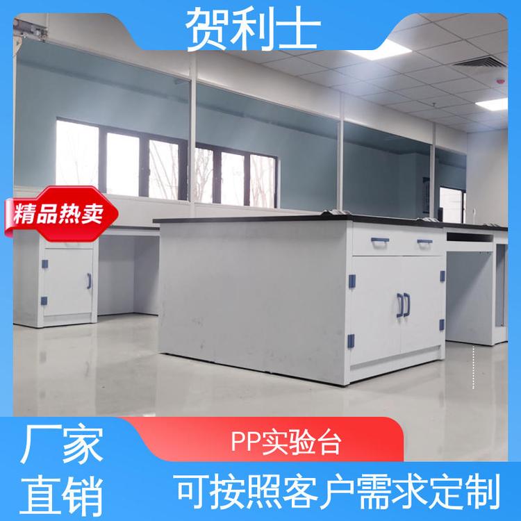按需定制 PP实验台 pp实验家具 科研机构用 贺利士