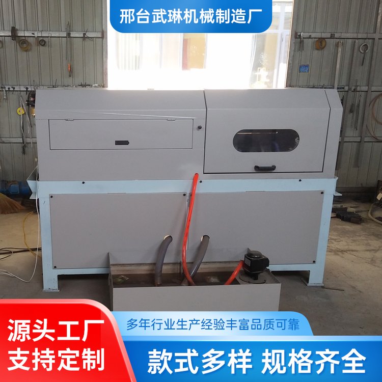 八头多头自动线材抛光机圆丝扁丝方丝椭圆丝金属线材钛丝弹簧抛光