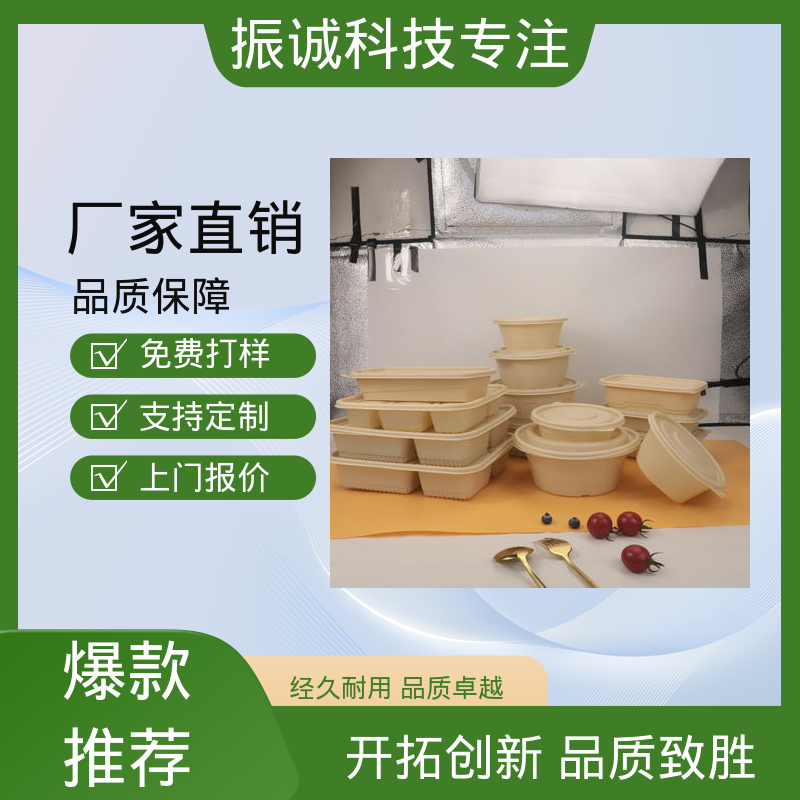 振诚科技 外卖打包盒 儿童带餐便携环保 加厚 一荤两素套餐碗