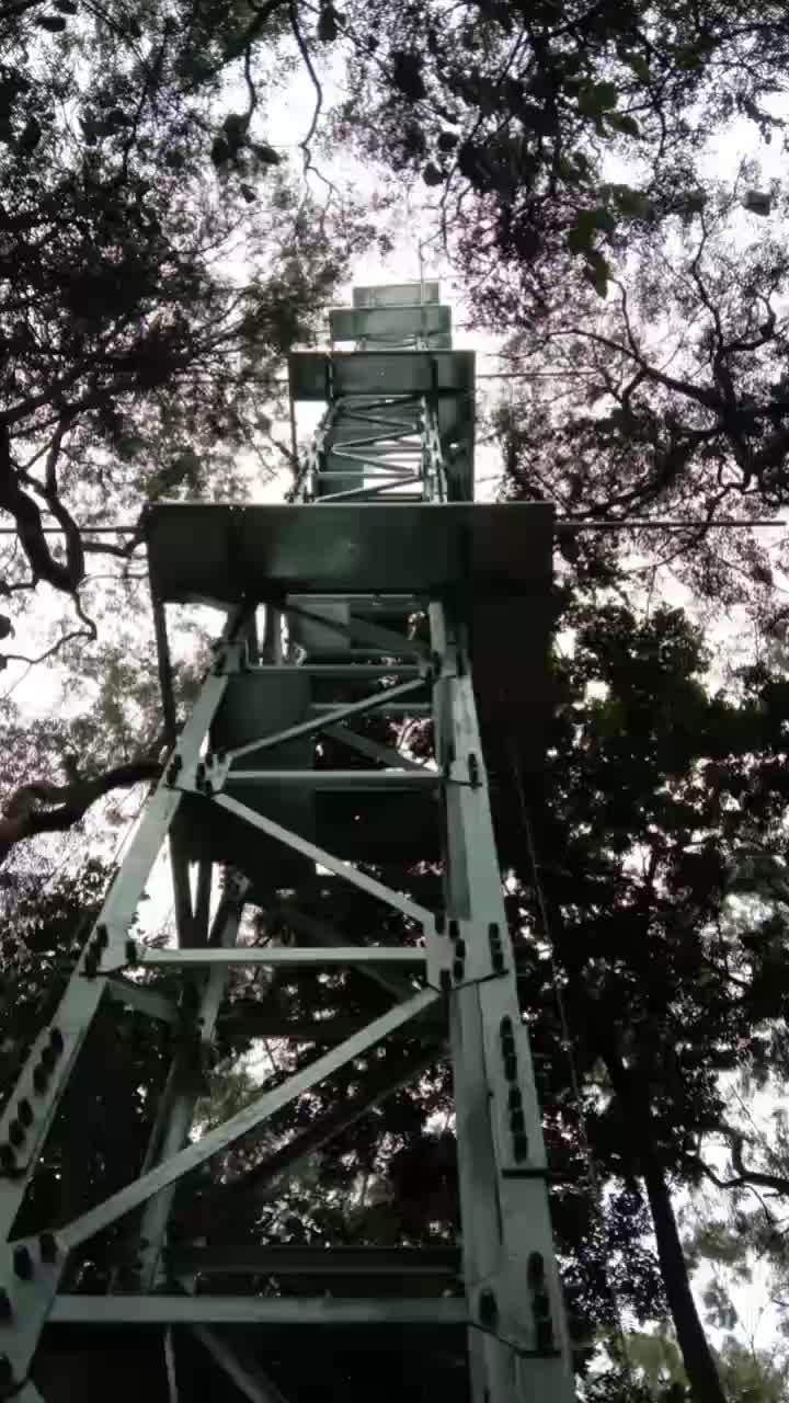 视频