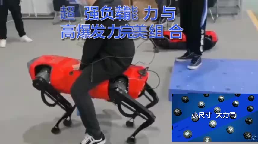 视频