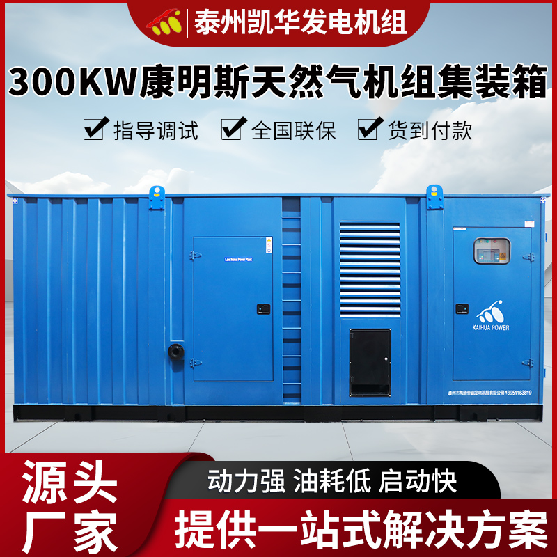 300KW康明斯天然气机组集装箱 凯华动力 防音效果好