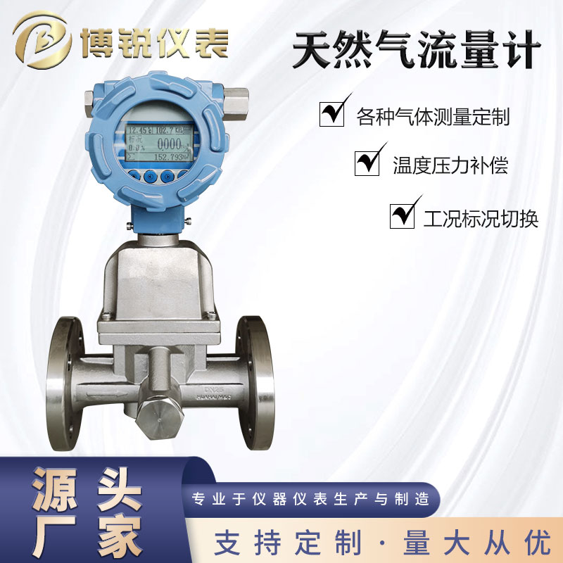 博锐仪表 氢气氧气测量 气体流量计 稳定可靠 厂家直发