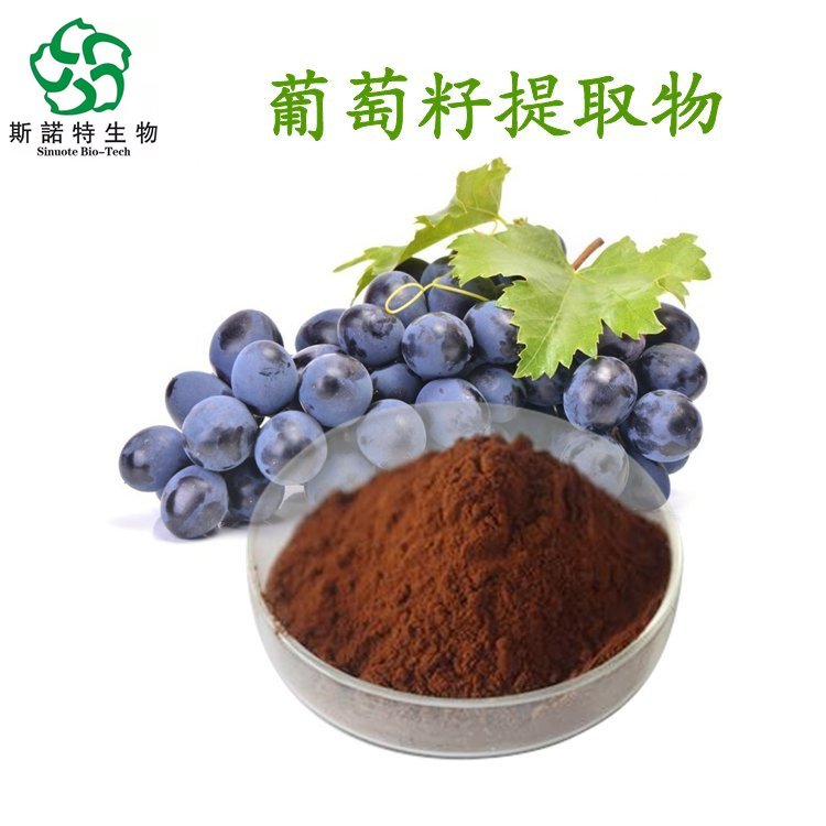 葡萄籽提取物 Grape seed extract 出口级品质 斯诺特