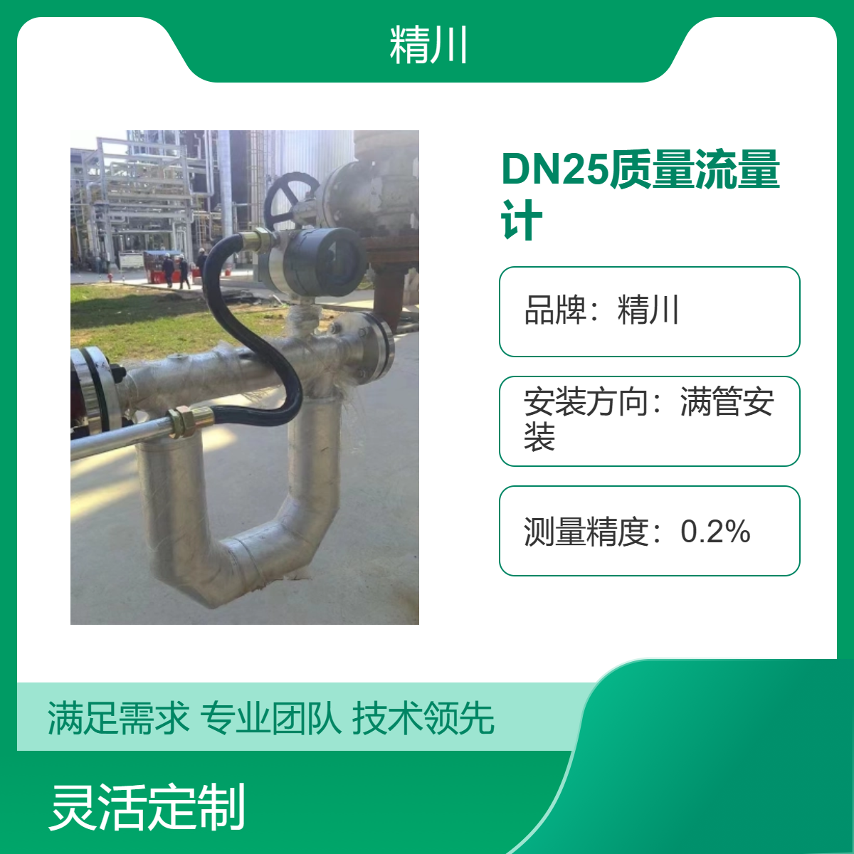 DN25质量流量计 0.2级精度 尿素专用 RS485抄表系统 满管安装