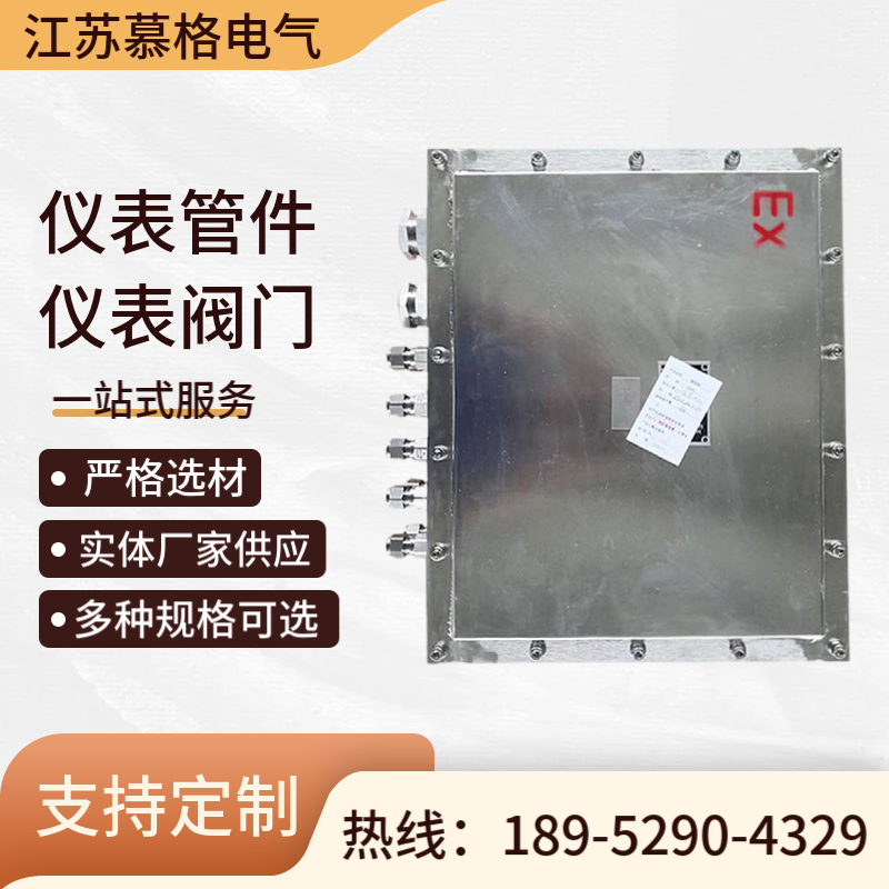 防爆接线箱 控制箱 配电箱 EX 304不锈钢接线箱子