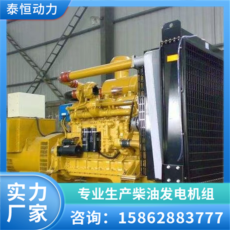 50KW上柴发电机组 停电应急备用电源 养殖场供电设备 泰恒