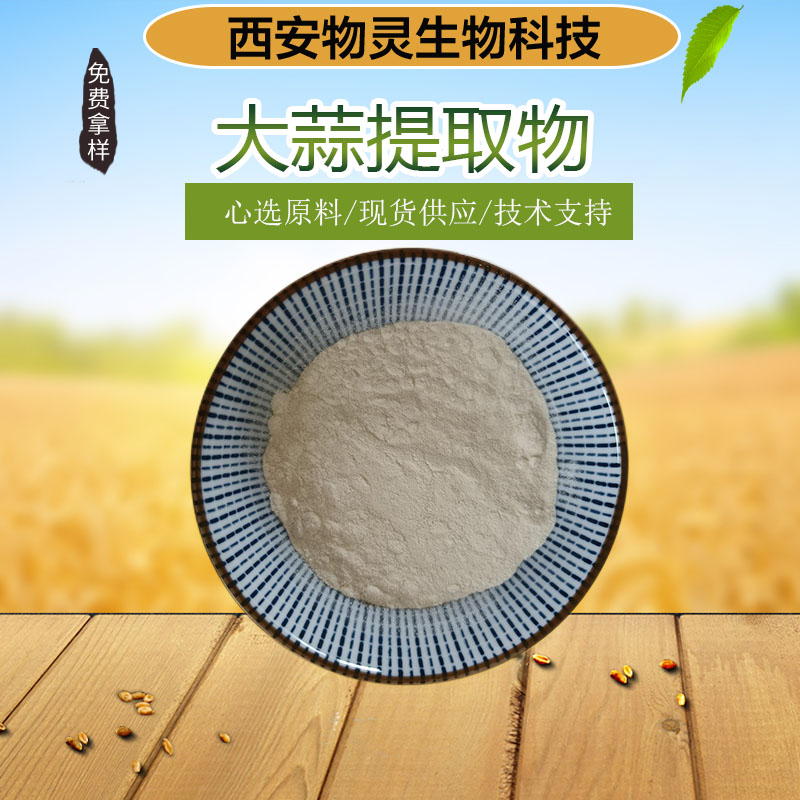 大蒜提取物 10:1水溶大蒜粉 多种规格 物灵生物 植物萃取 食品调味