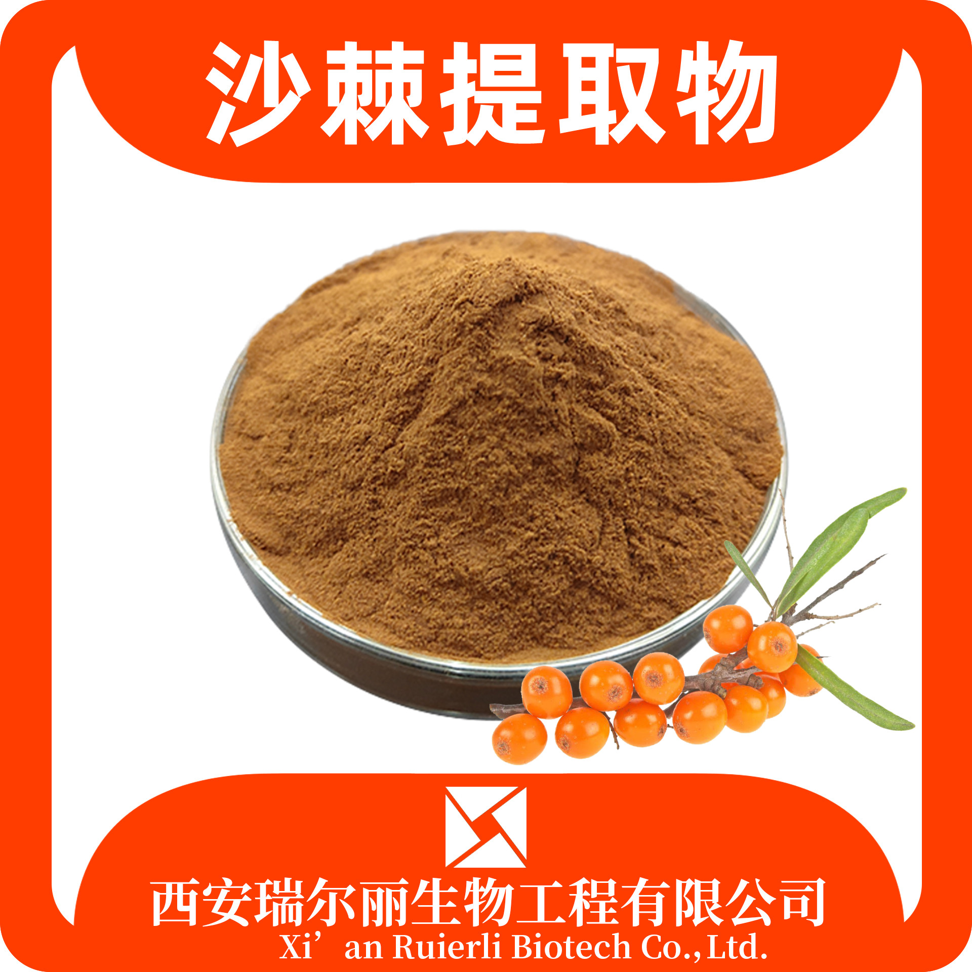 沙棘提取物10：1 沙棘黄酮/果粉 药食同源 可定制 瑞尔丽生物