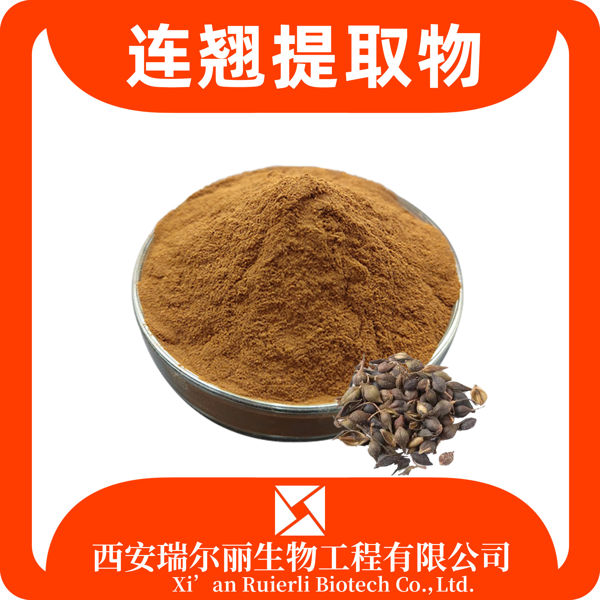 连翘提取物10：1 连翘浸膏 速溶连翘粉 SC证 可定制 瑞尔丽生物