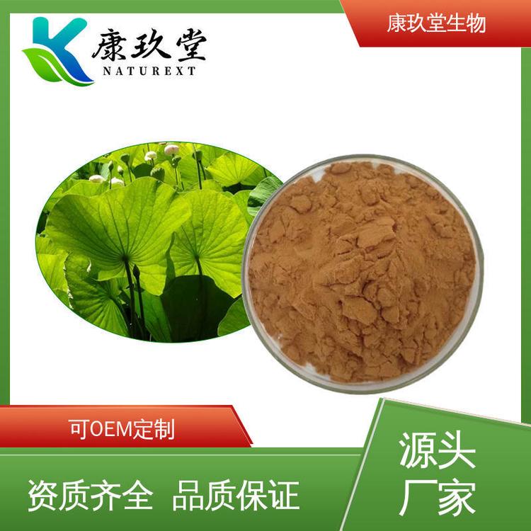 康玖堂 25公斤/桶 资质齐全 荷叶提取物 Lotus Leaf Extract