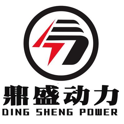 山东鼎盛动力设备有限公司