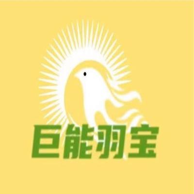 山东锦泰晶须科技发展有限公司