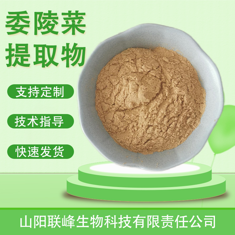 委陵菜提取物 10：1委提取物 水溶性好 委陵菜粉 1公斤起订