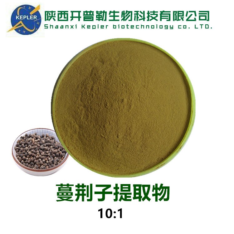 蔓荆子提取物 植物提取物 蔓荆子粉 10：1 KPL-0033